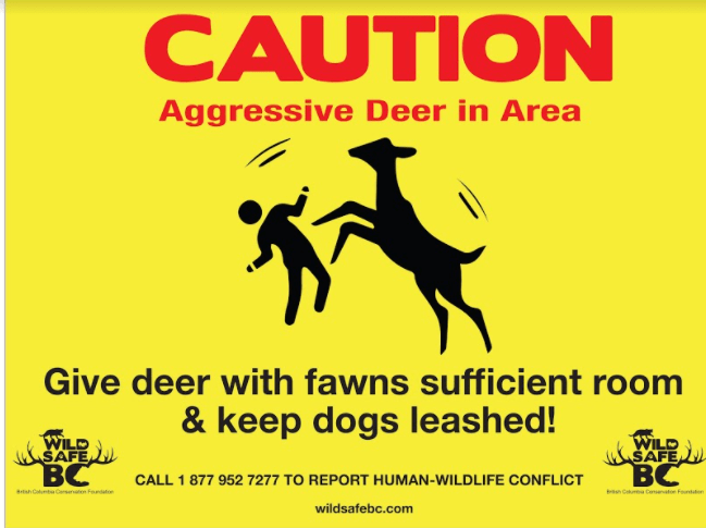 deer attack sign