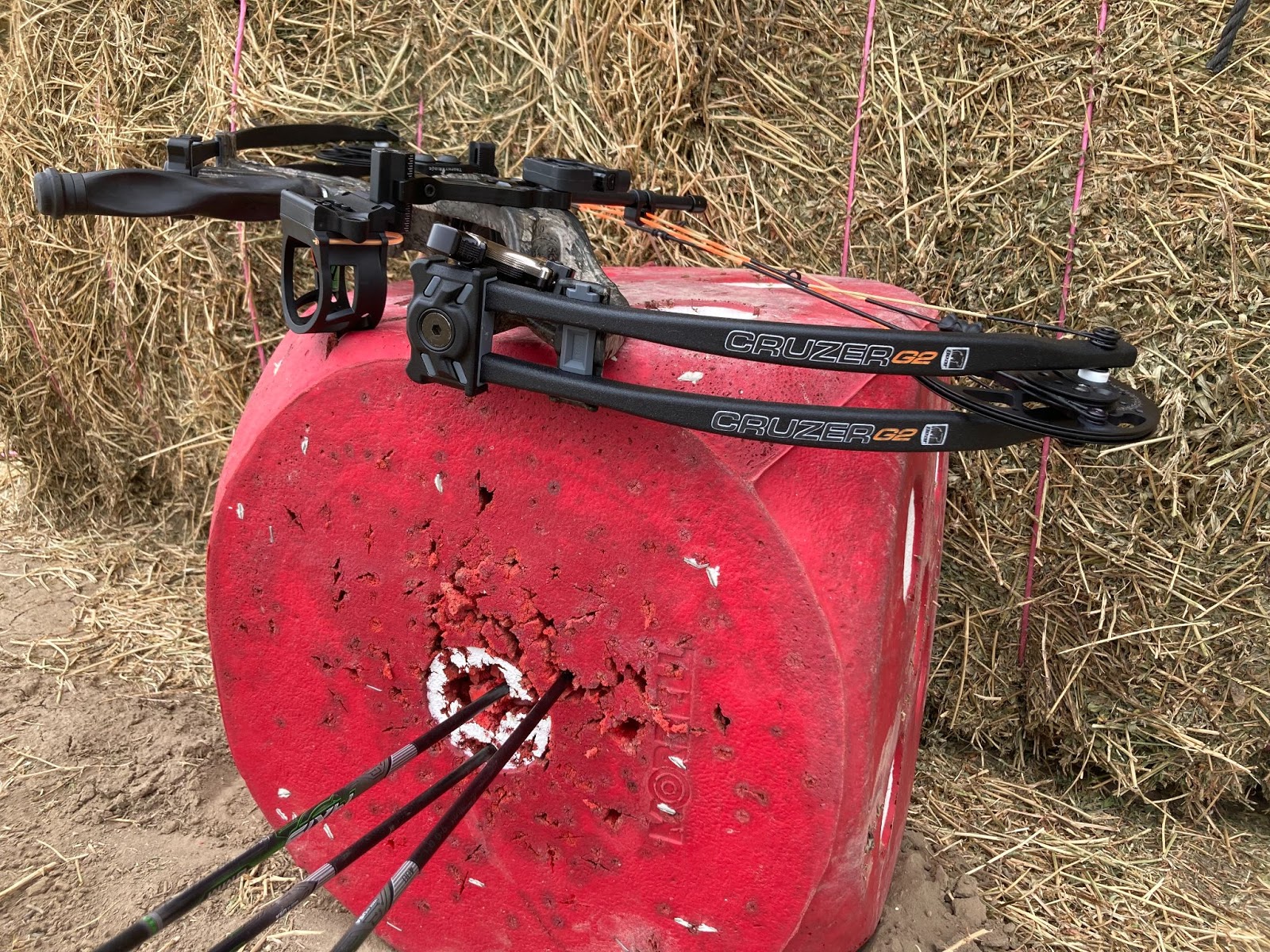 Bear Cruzer G2 on target with arrows in it