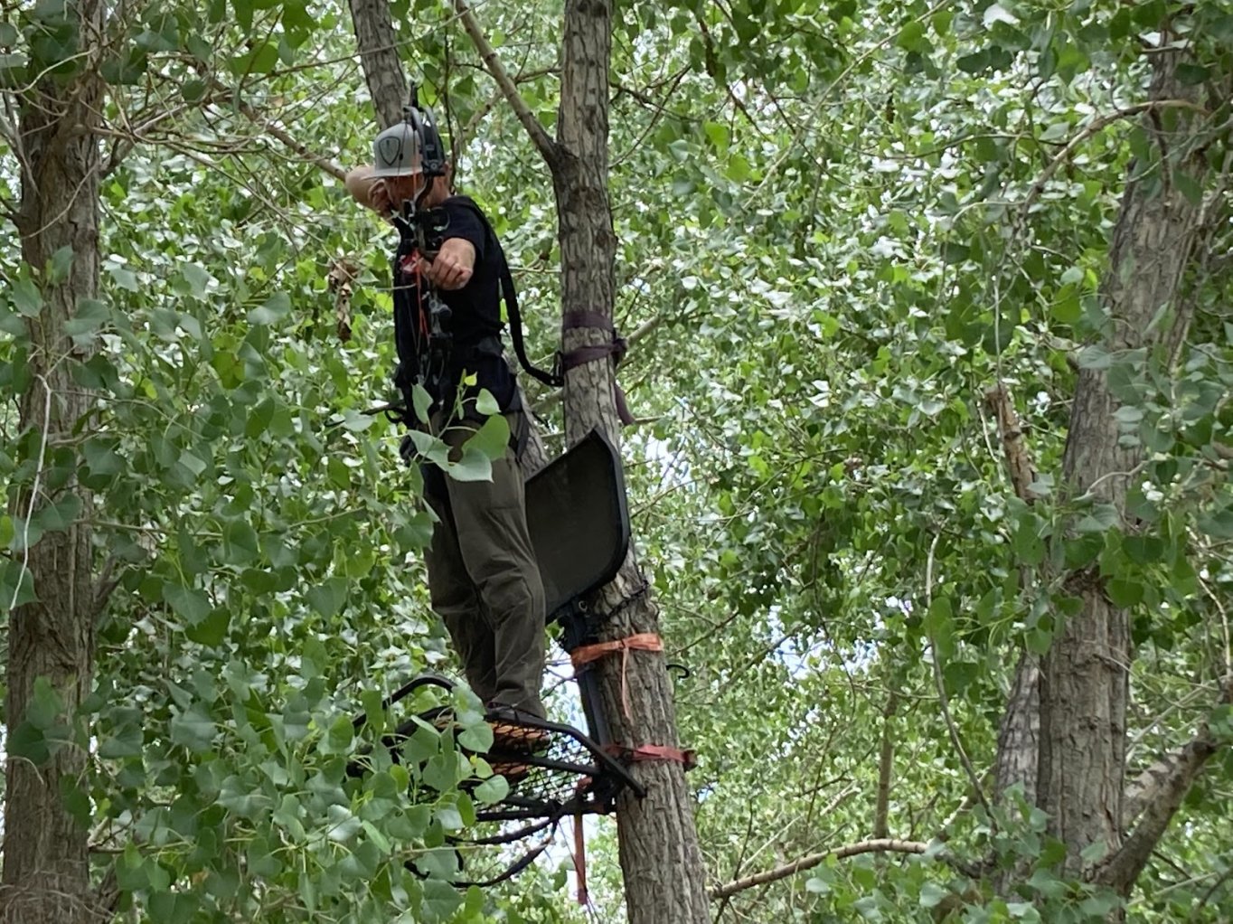 Bear Cruzer G2: Compound Bow Review| Outdoor Life