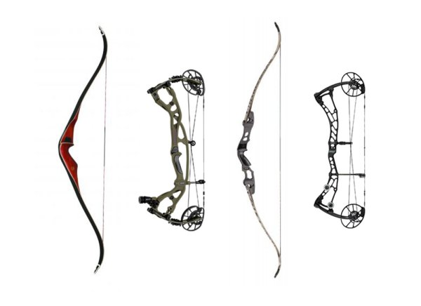 Recurve vs. Compound Bow: The Differences in Performance, Design, and Shooting Style