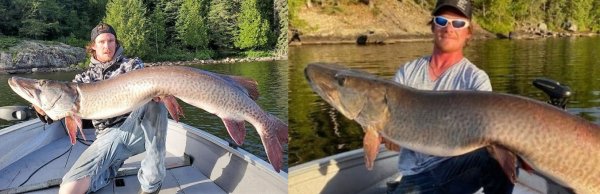 With the Border Closed, Canadian Anglers Have the Lakes—and Giant Muskies—to Themselves