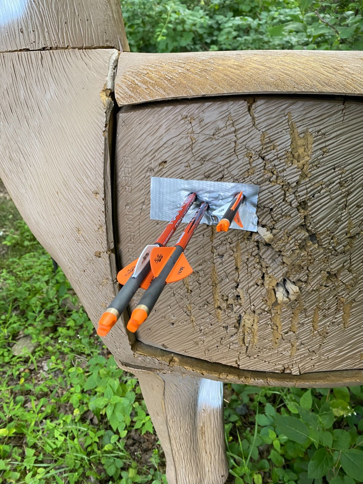 Ravin R10 arrows in deer target