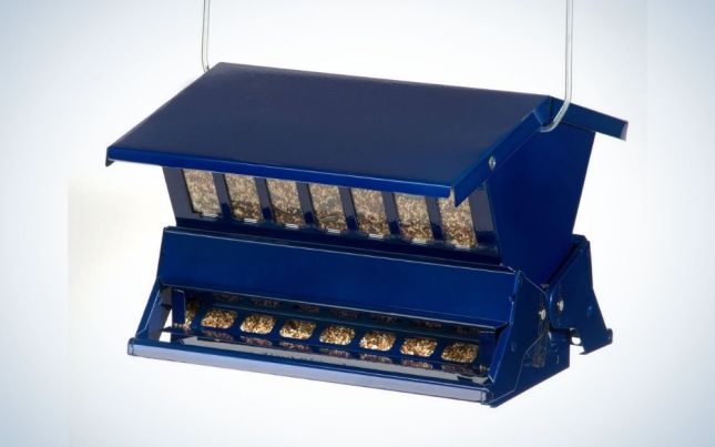 A place that serves to feed the birds is blue with two brown and a space with food in the form of windows.