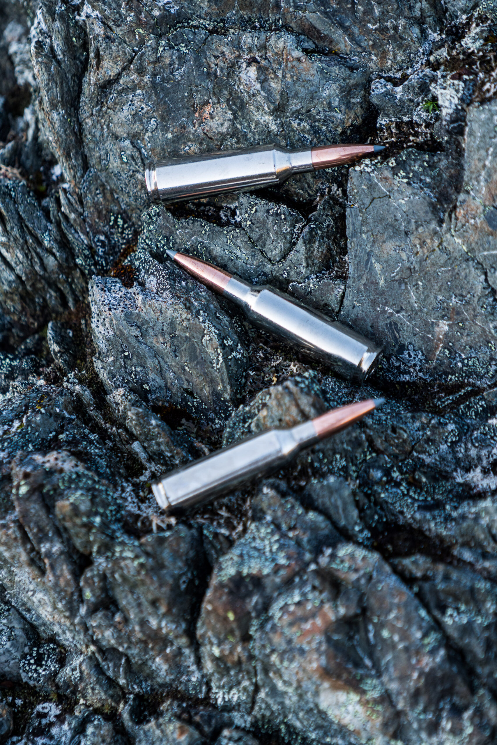 Three 6.8 Western cartridges for mountain goats.