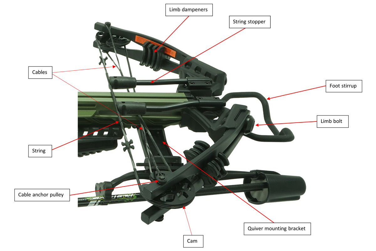 Crossbow forend parts diagram