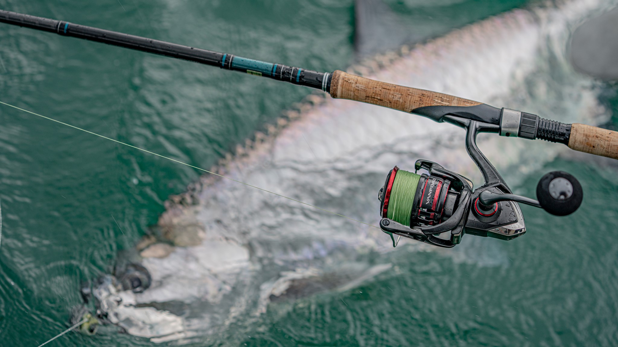 Baitcaster vs Spinning Reels: Which is the best for fishing