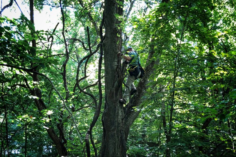 A treestand fall is absolutely preventable with the appropriate safety precautions.