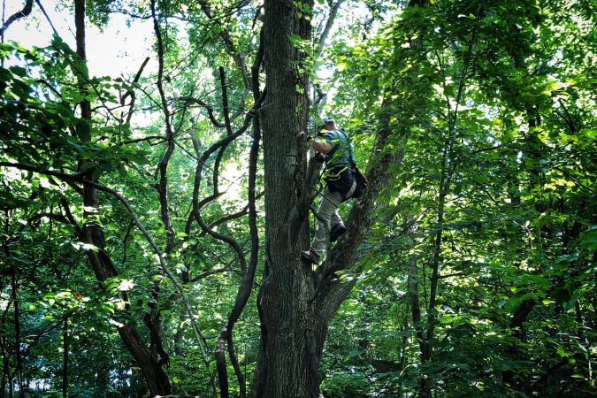 DNR Officer Tracks and Rescues 75-Year-Old Who Fell 30 Feet While Retrieving His Treestand