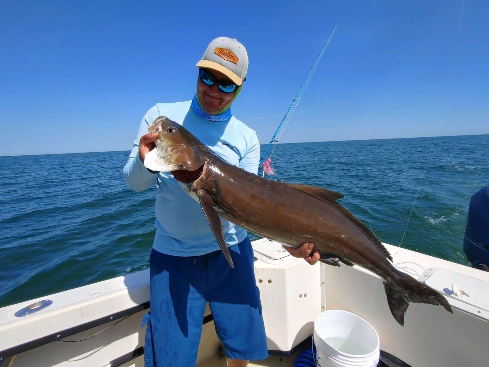 cobia.jpeg?quality=85