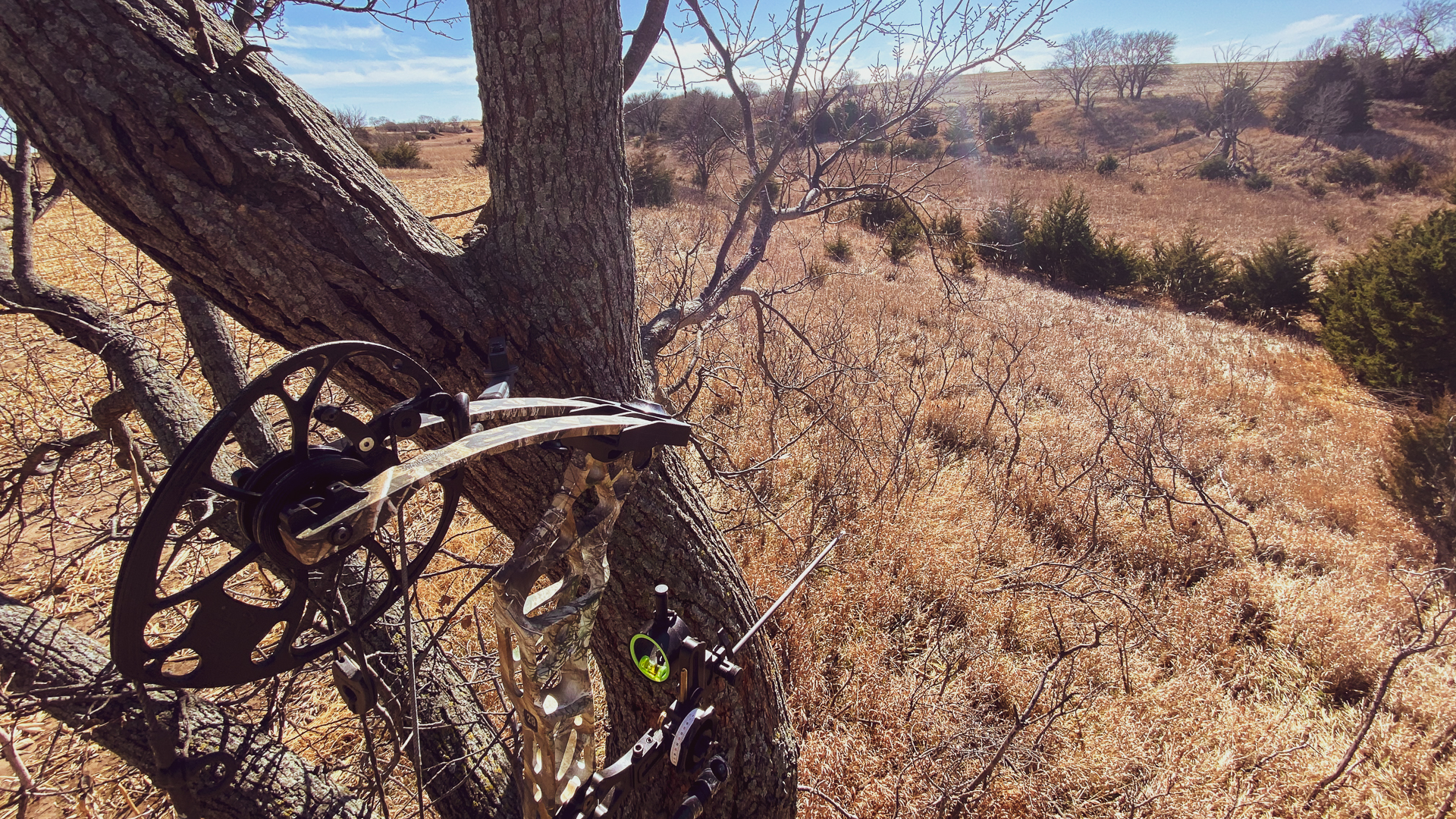 Consider moving your deer stand away from the field edge.
