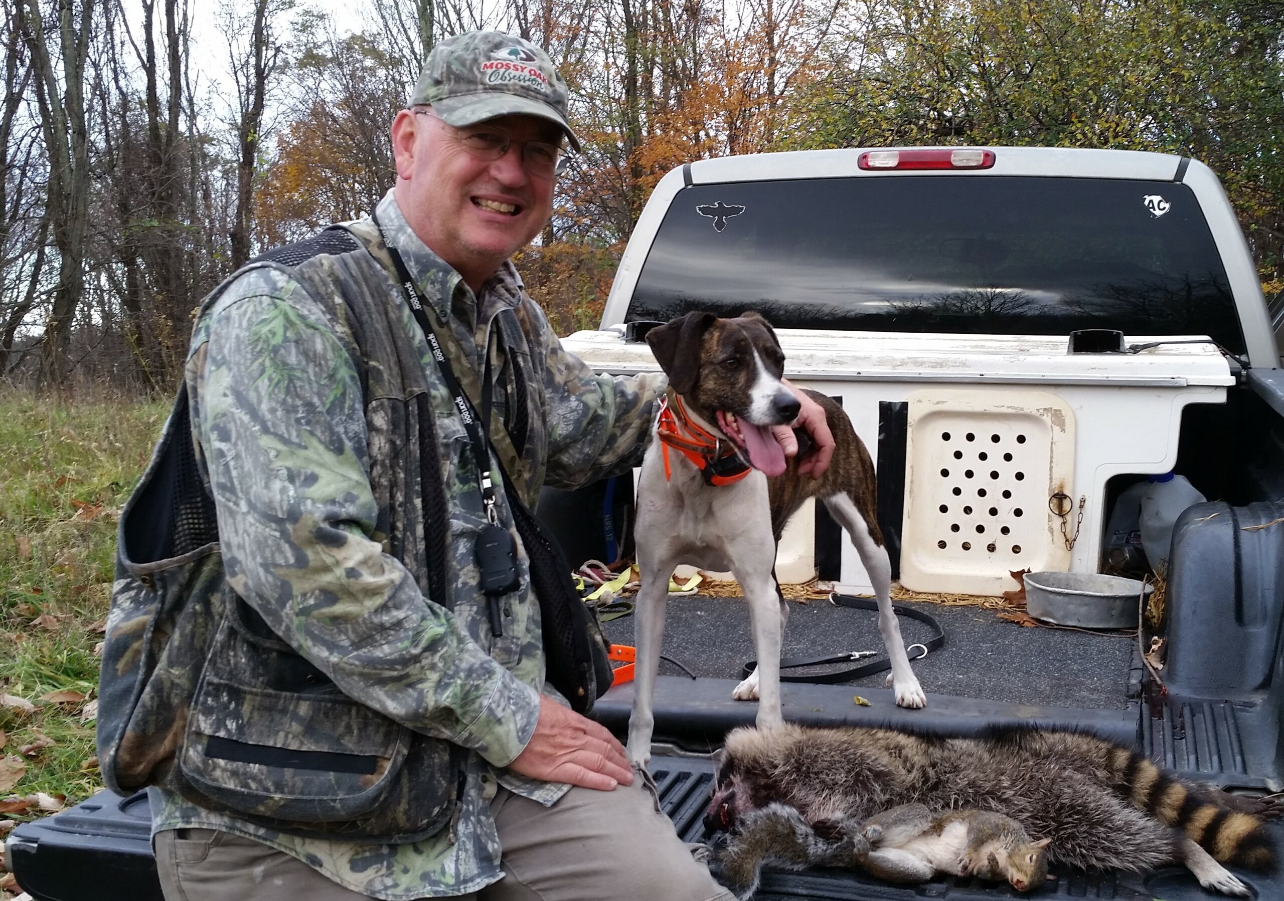 How to Buy and Train a Squirrel Hunting Dog Outdoor Life