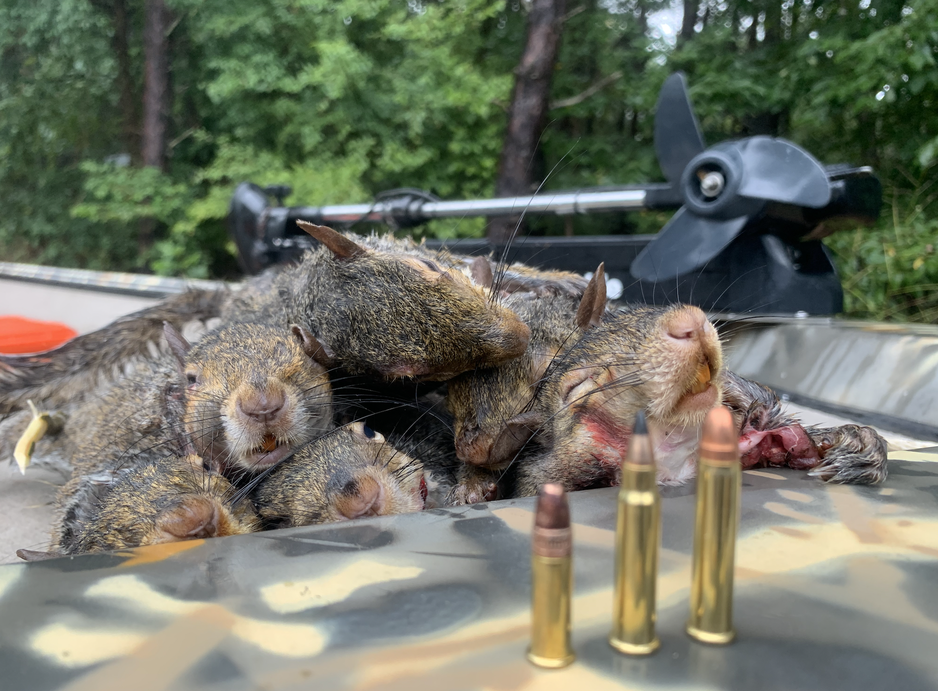 Picking a rimfire or shotgun load depends on how you hunt.