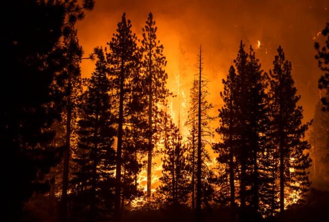 All California National Forests Closed Due To Wildfires
