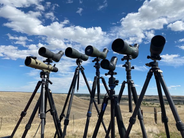 The Top New Tripods for Hunting