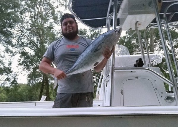 Alabama Fisherman Accidentally Cuts the New State-Record Bonito into Shark Bait