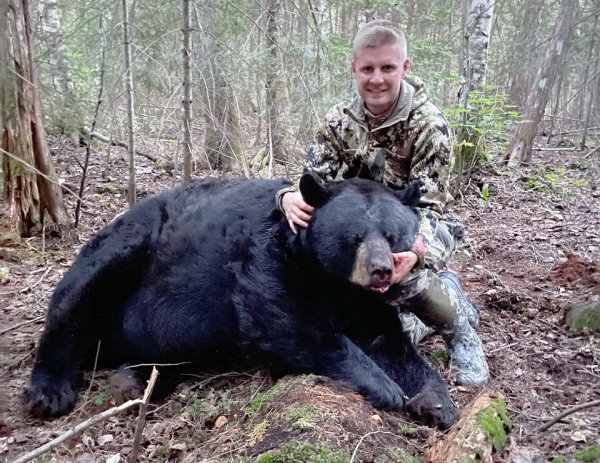 An Ontario Bowhunter Needed His Backup Rifle to Take This 800-Pound Black Bear