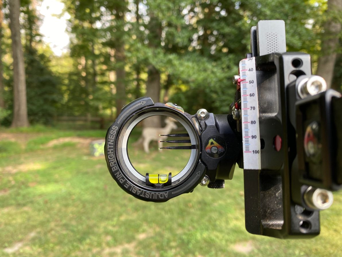 A target pictured through a sight
