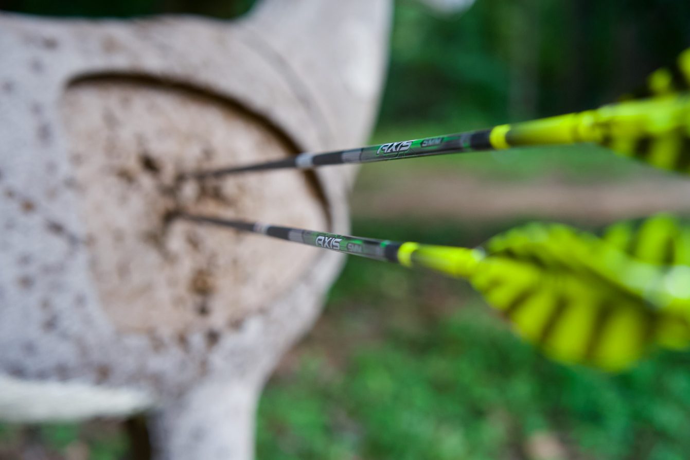 Two arrows in the center of a deer target