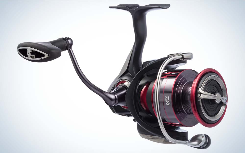 Daiwa Fuego lt 4000 - The Hull Truth - Boating and Fishing Forum