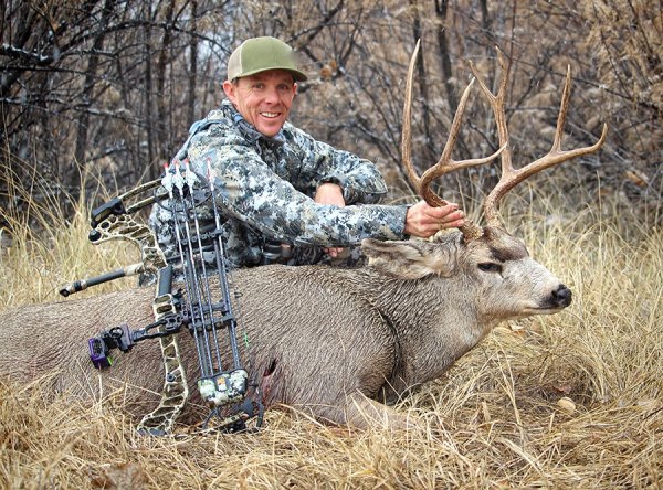 How to Bowhunt Pronghorn, Mule Deer, and Elk from a Treestand