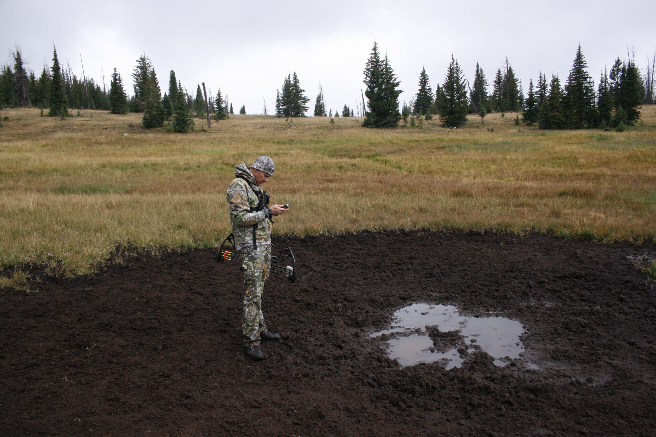 Find a wallow to target elk.