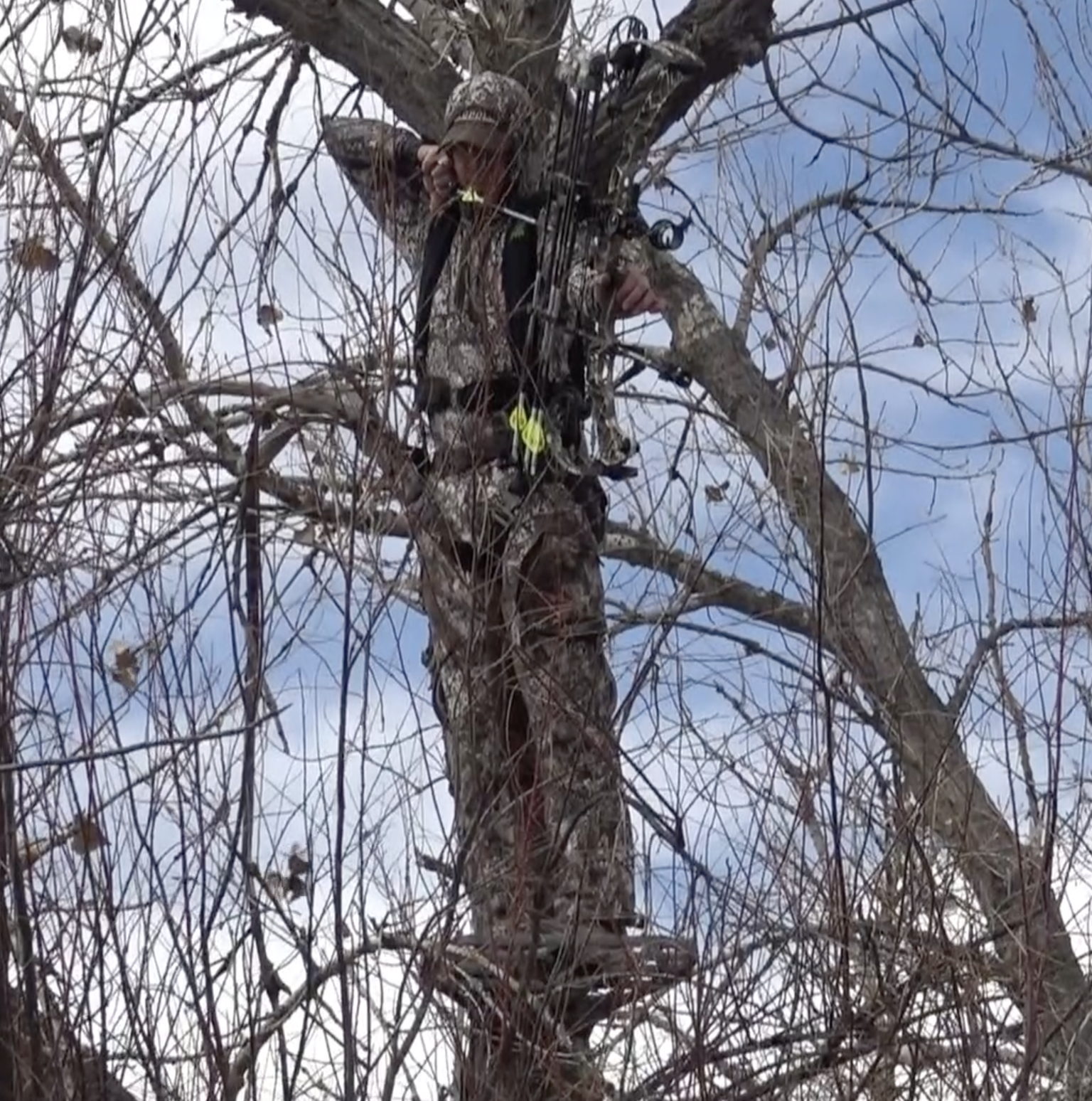 You can hunt western big game from a treestand.