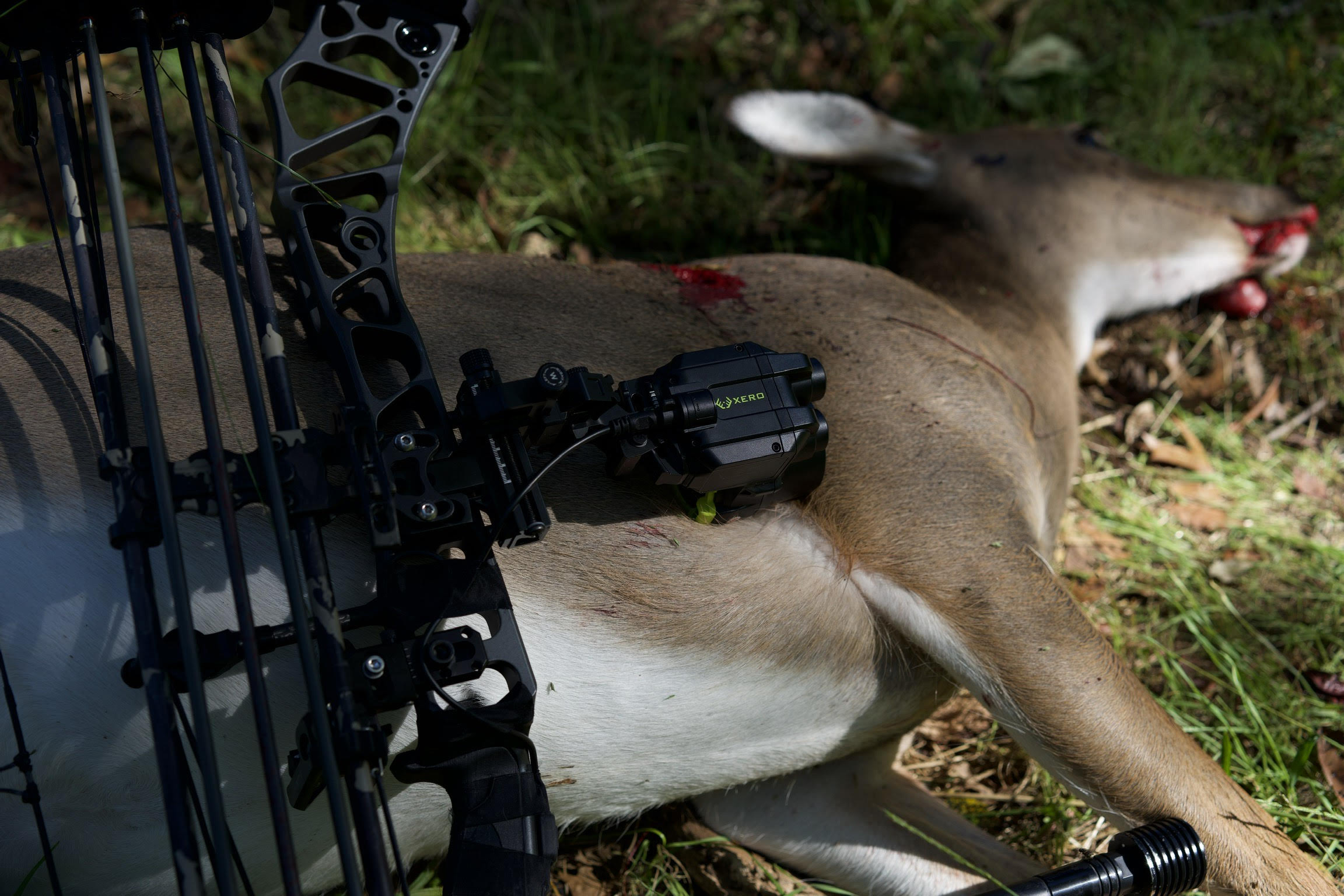 A bow with a Garmin Xero attached on top of a deer a hunter hit