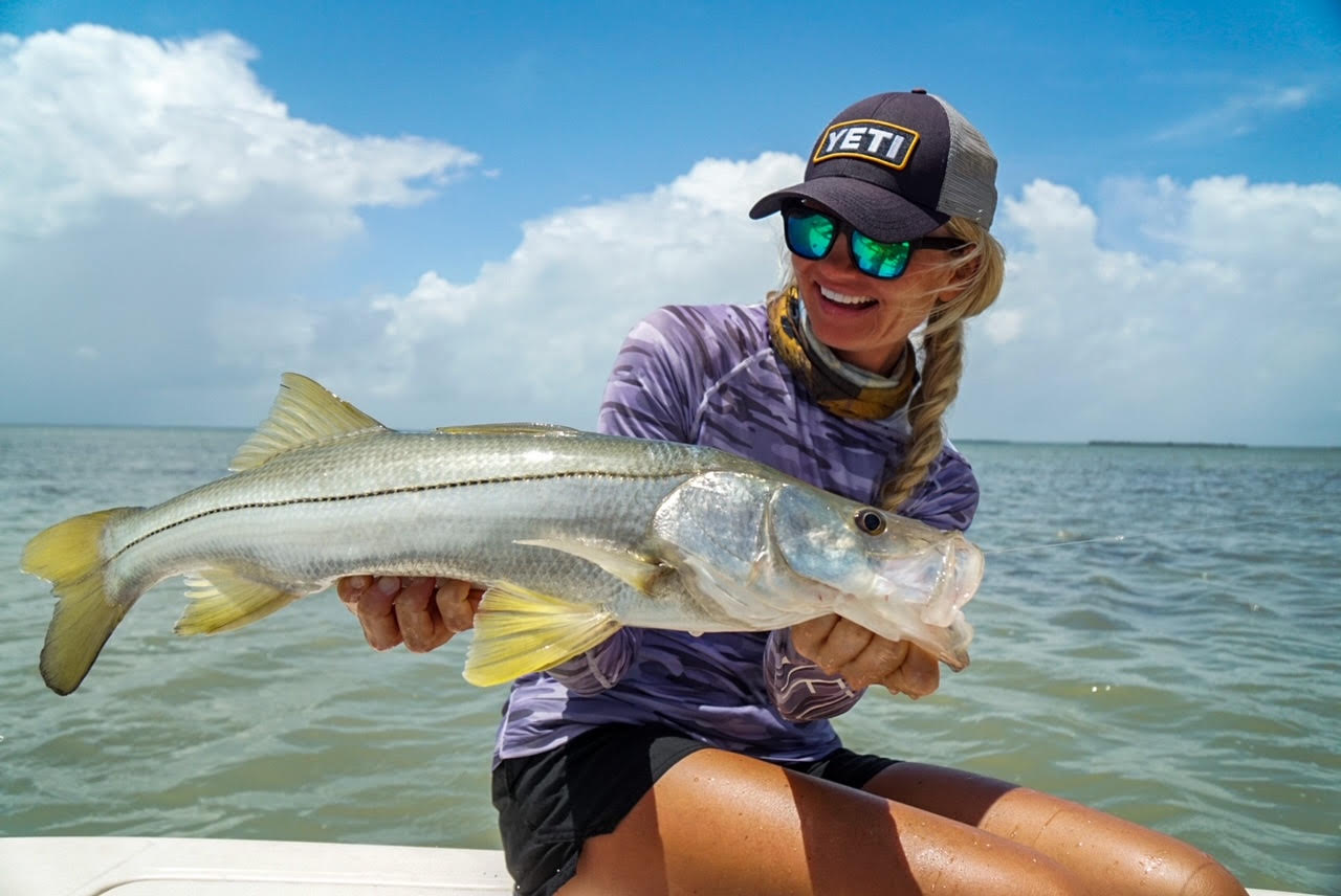 Catch snook on live or artificial baits.