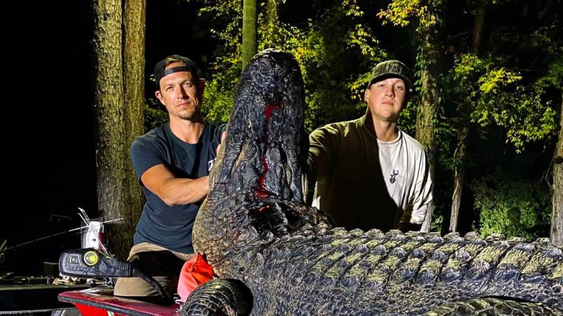 Massive 705-Pound Alligator Caught From Georgia’s Lake Harding