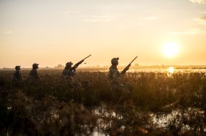 Best Duck Hunting Shotguns of 2025 Outdoor Life