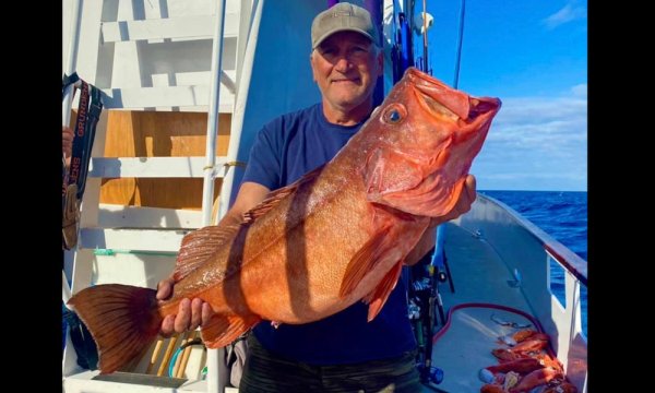 Angler Eats Potential California Record Bocaccio Rockfish