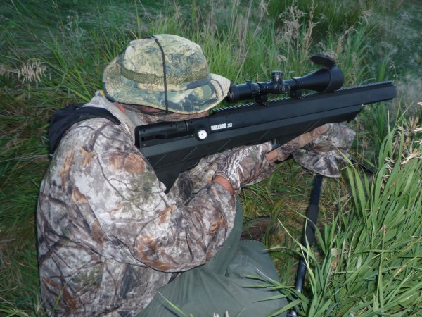 The Benjamin Bulldog Air Rifle Is Well Suited for Hunting Hogs and Predators