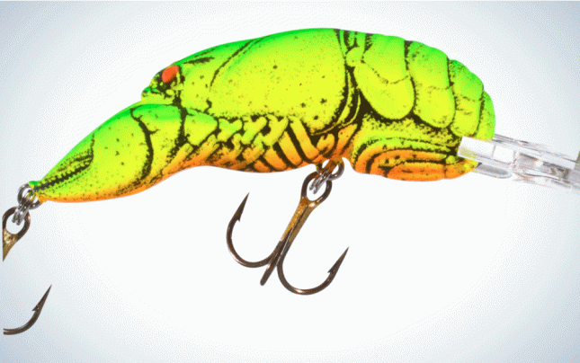 The Truth About Leaving A Fishing Lure In A Fish's Mouth (STUDY)