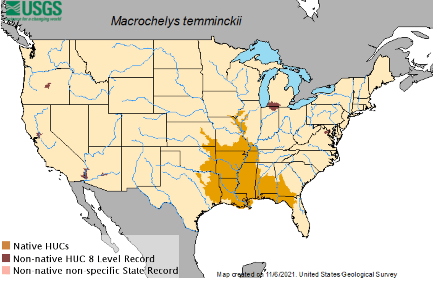 Alligator Snapping Turtle Could Receive Threatened Status Outdoor Life