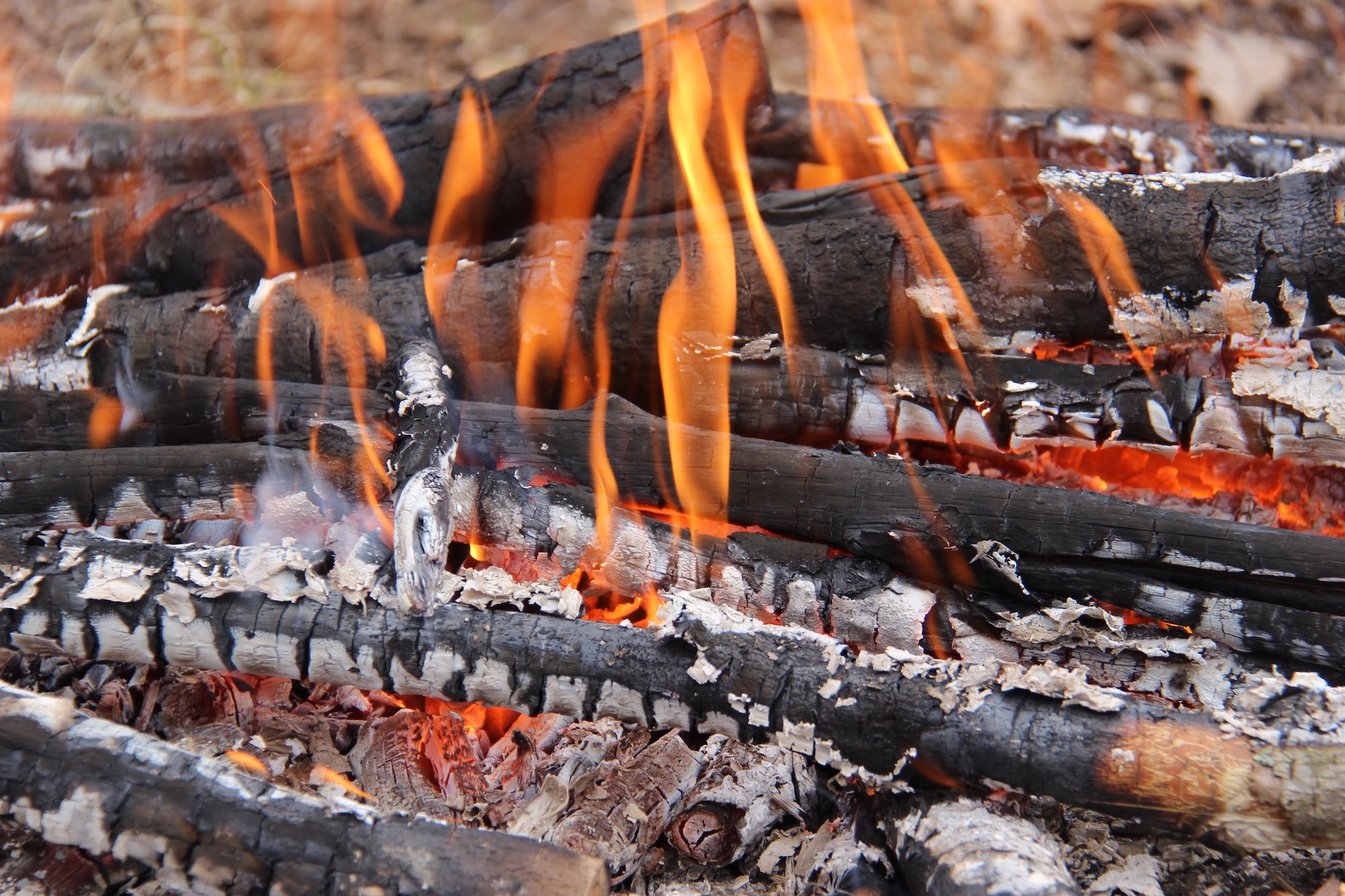 Fire Split Lay How to Start a Fire | Outdoor Life