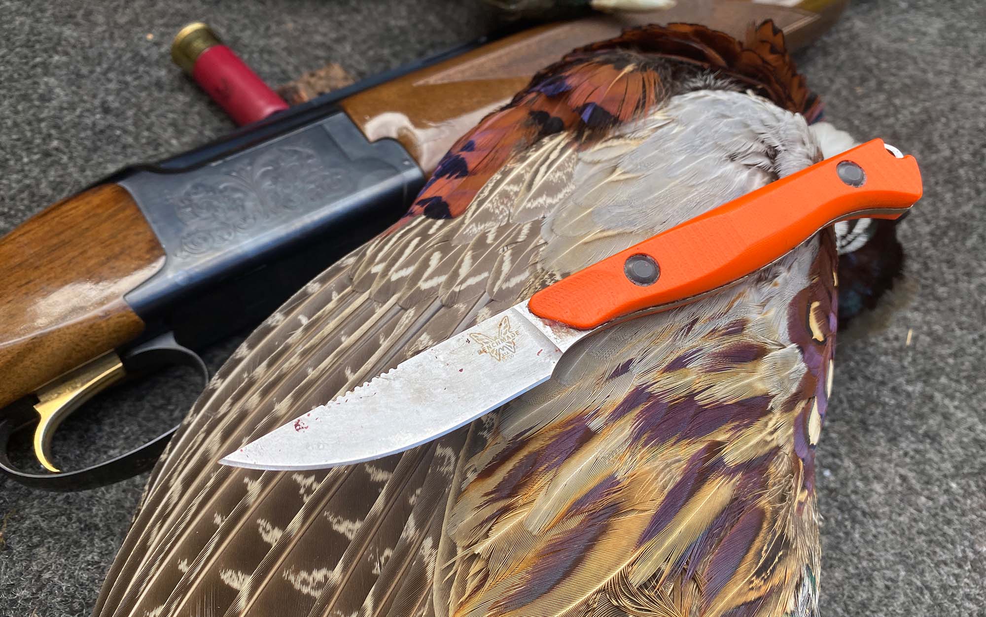 Best Hunting Knives of 2024, Tested