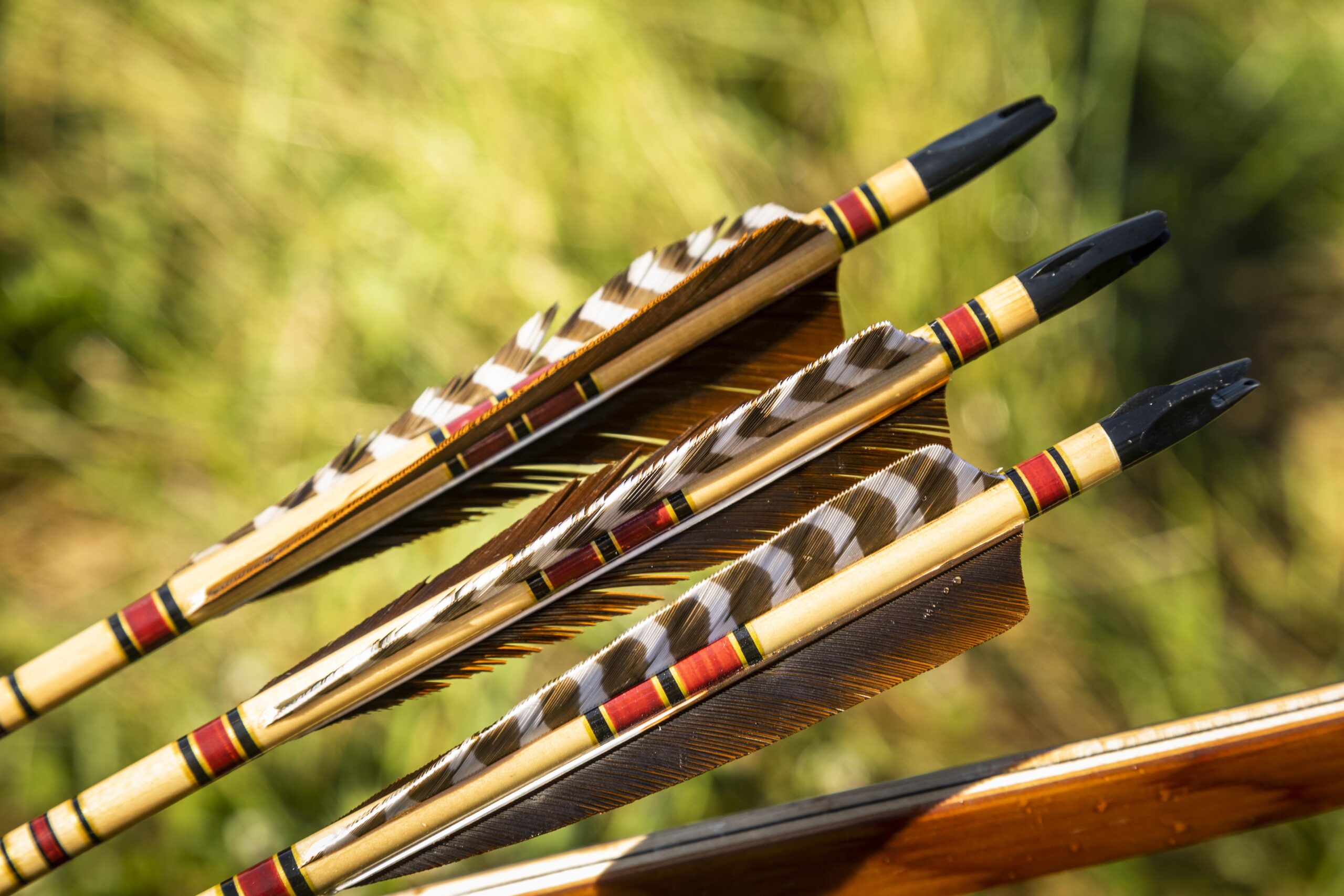 Feather fletchings on traditional wooden arrows.