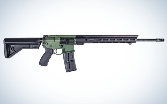 The Franklin Armory F17-L is the best varminter.