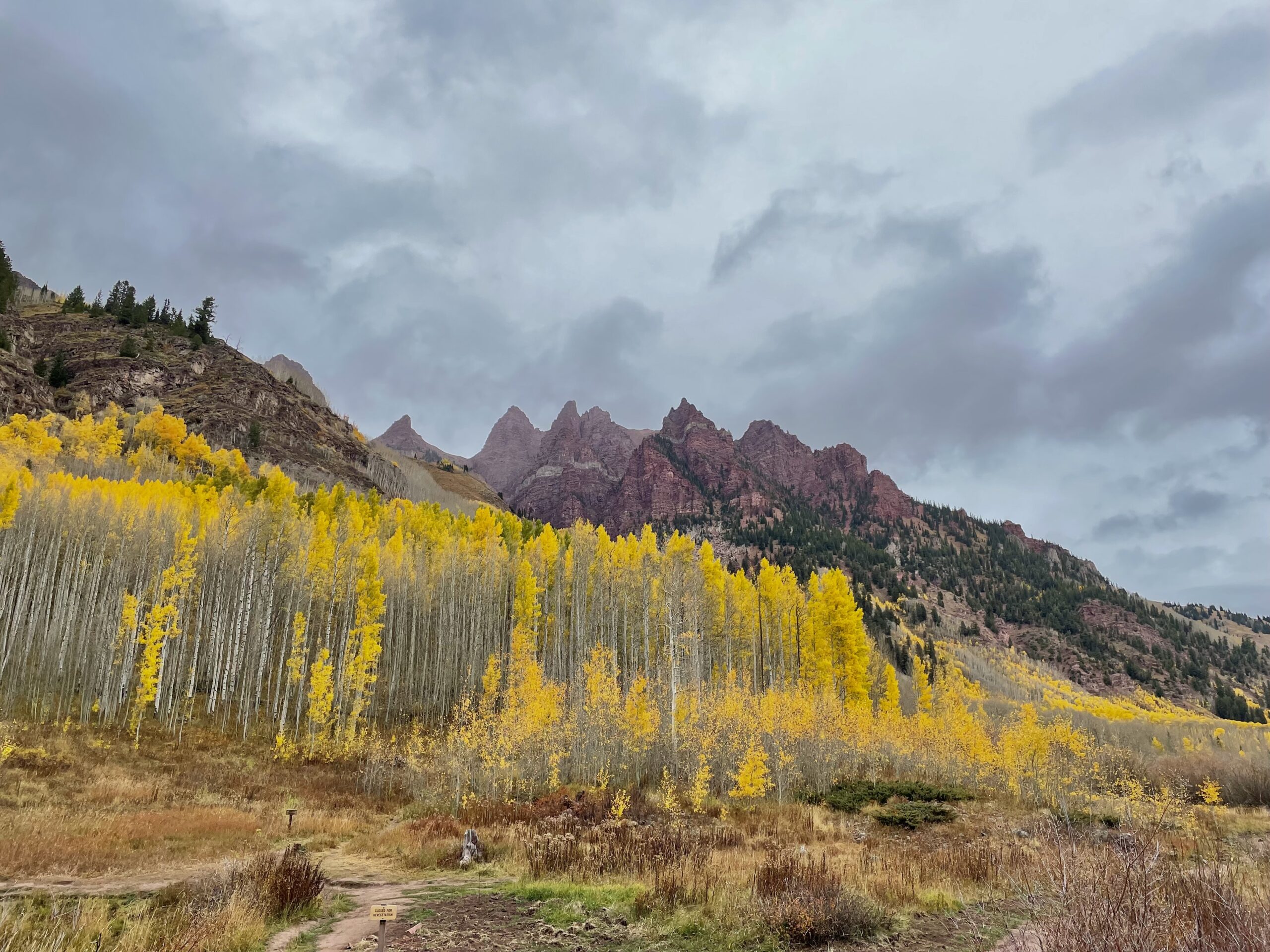 A misty landscape of yellow aspen trees and red mountains