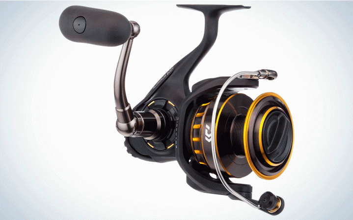Daiwa BG Reviewed: Everything You Want in an Inshore or Surf