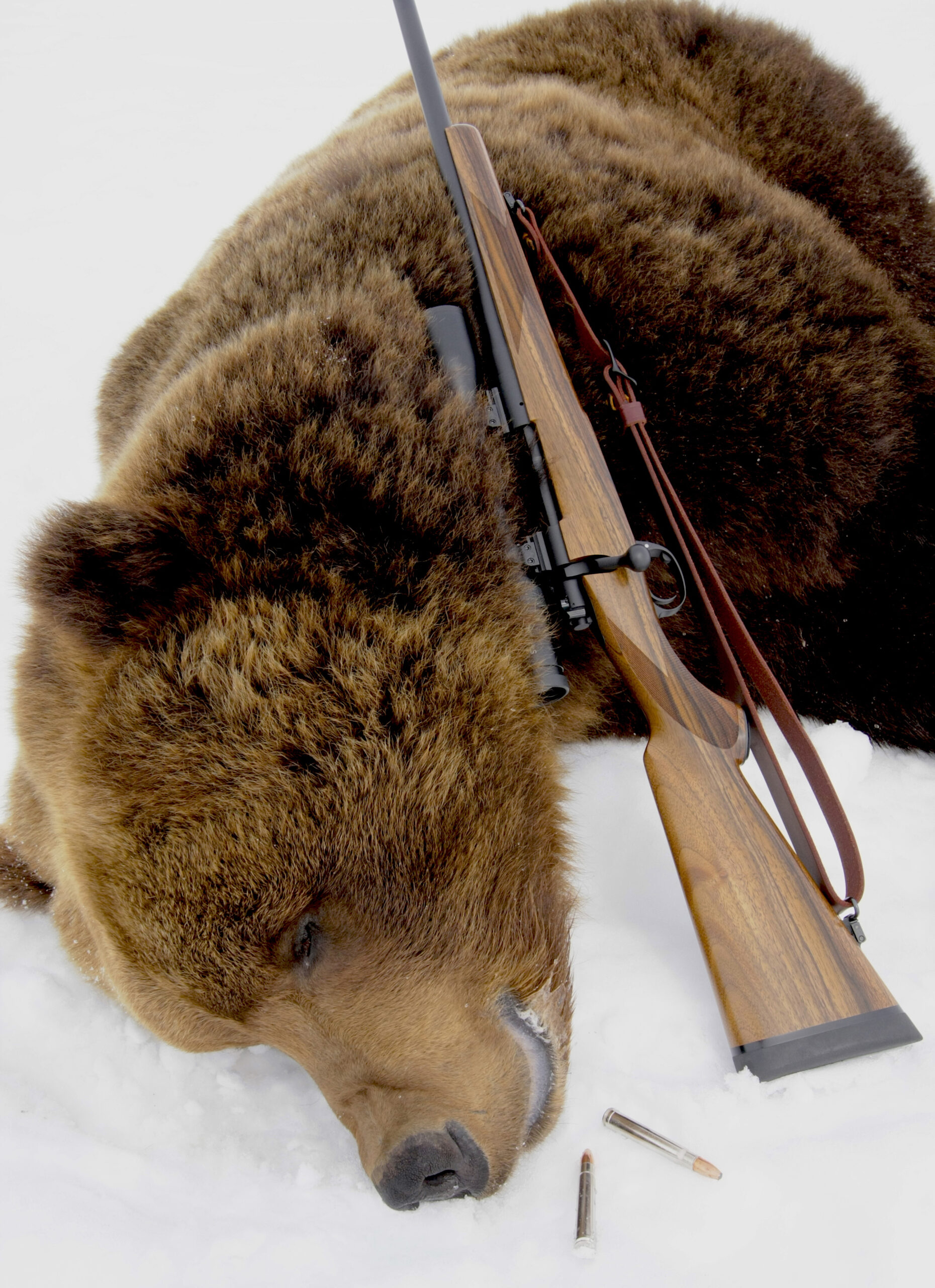 A bear rifle for hunting in Alaska.