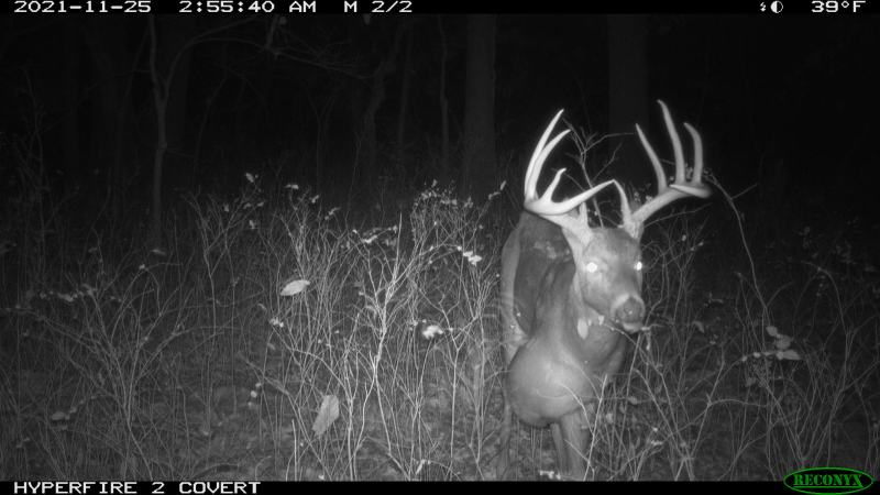 Missouri Bowhunter Kills 160-Class Buck with a Basketball-Sized Growth on Its Shoulder