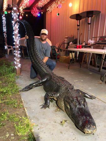 Florida Proposal Would Allow 24-Hour Gator Hunting
