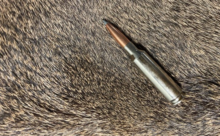 Are You Getting Bad Blood Trails with the 6.5 Creedmoor? This Is Why