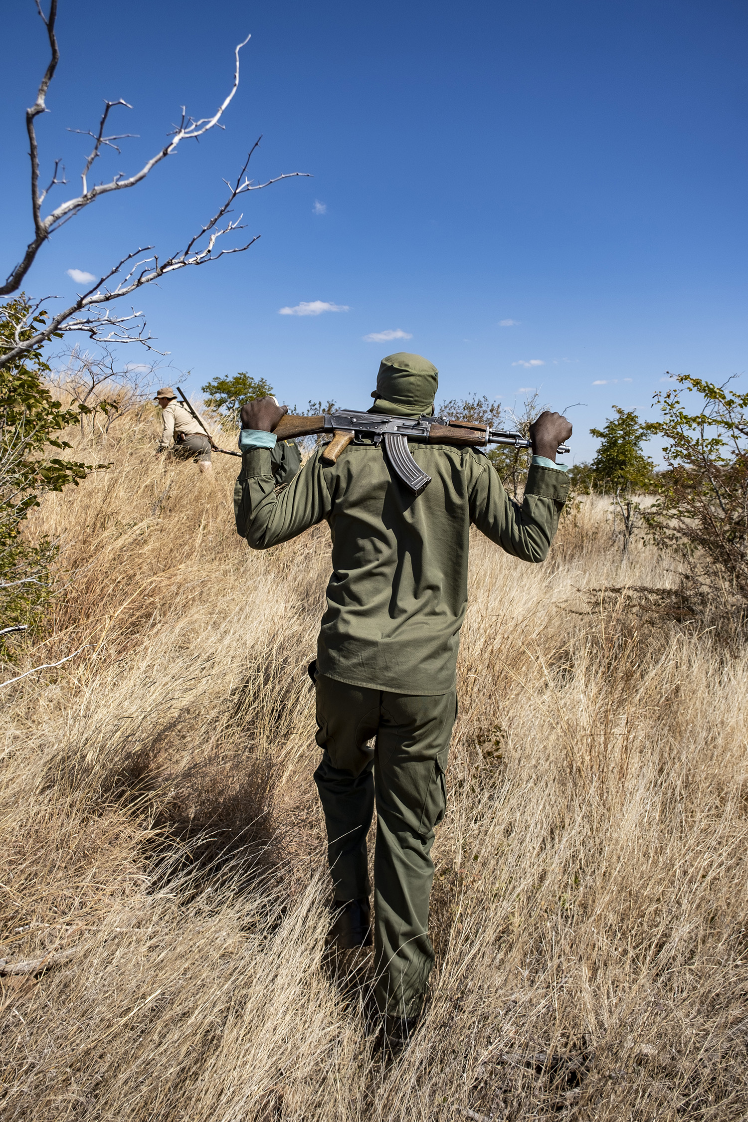 A Zimbabwe game scout carries an AK-47.