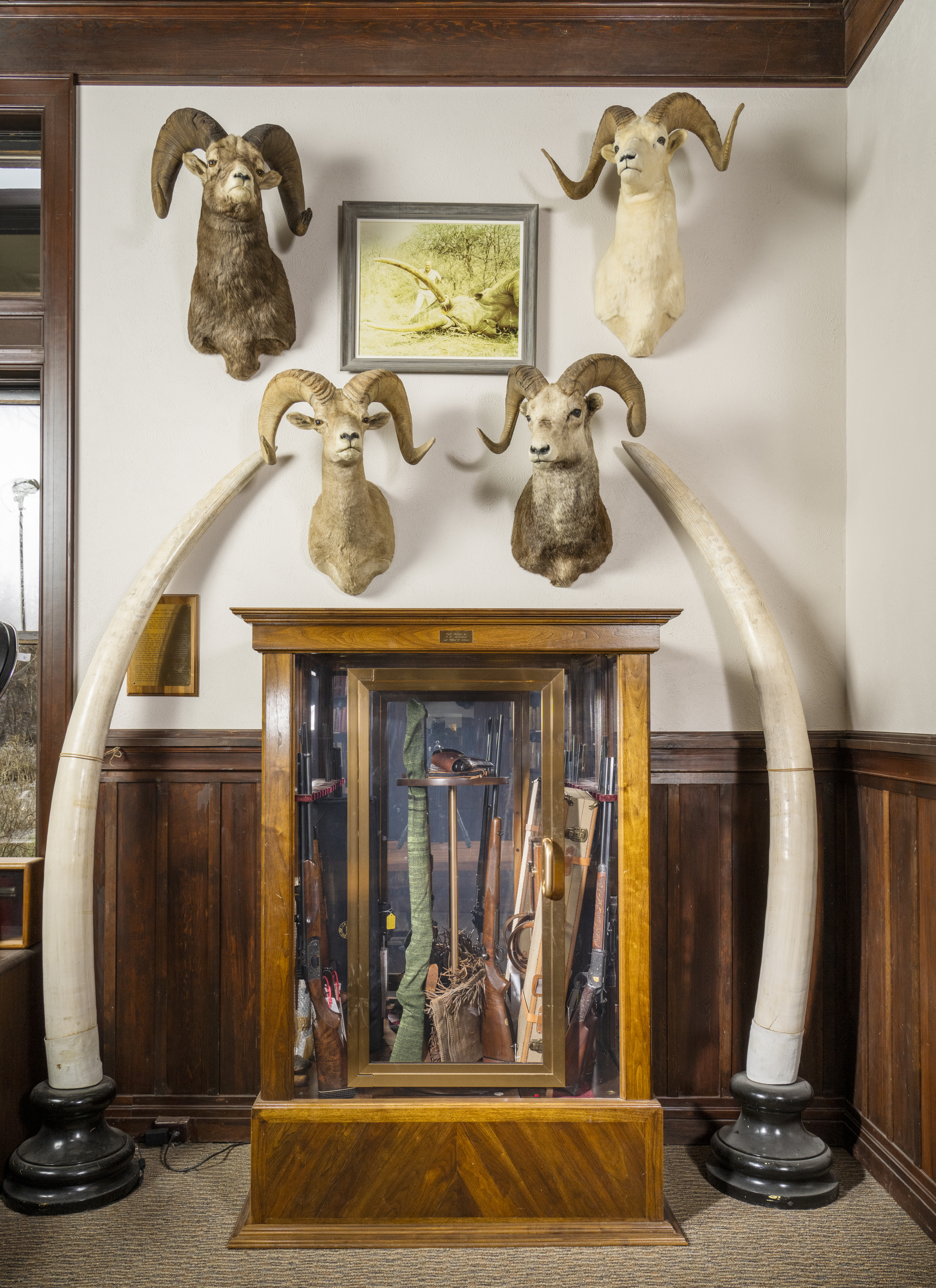 Elephant tusks and wild sheep surround a gun vault at the Wonders of Wildlife Museum & Aquarium.