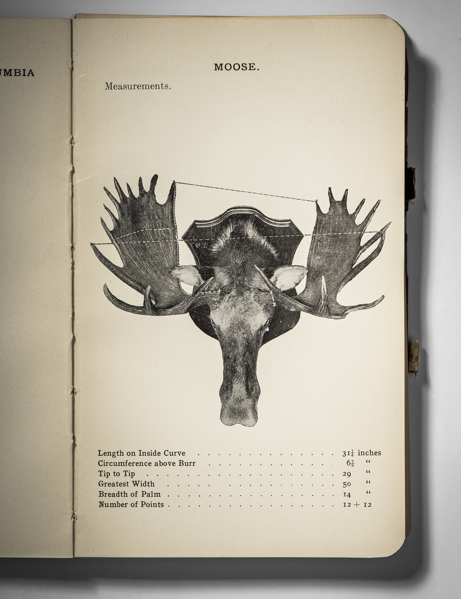 A historical book from the Boone and Crockett library.