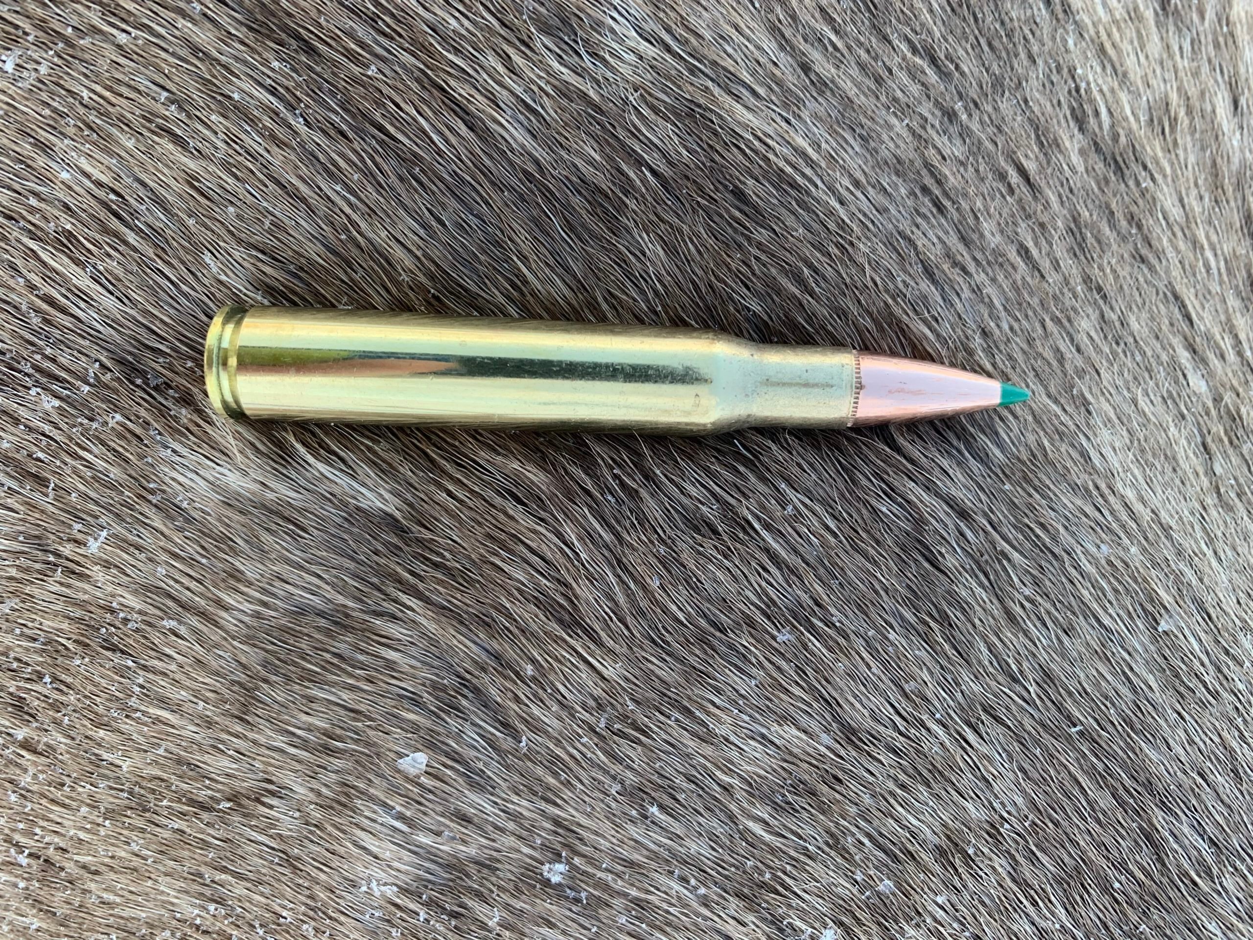 .30/06 Core-Lokt Tipped 180-grain