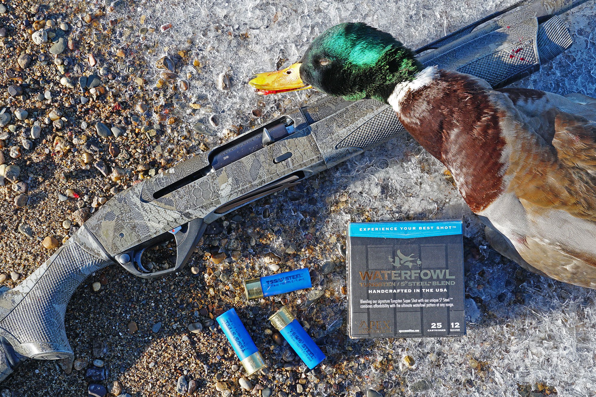 Apex Shell Apex Stacked Shotshells: A More Affordable Way for Duck Hunters to ...