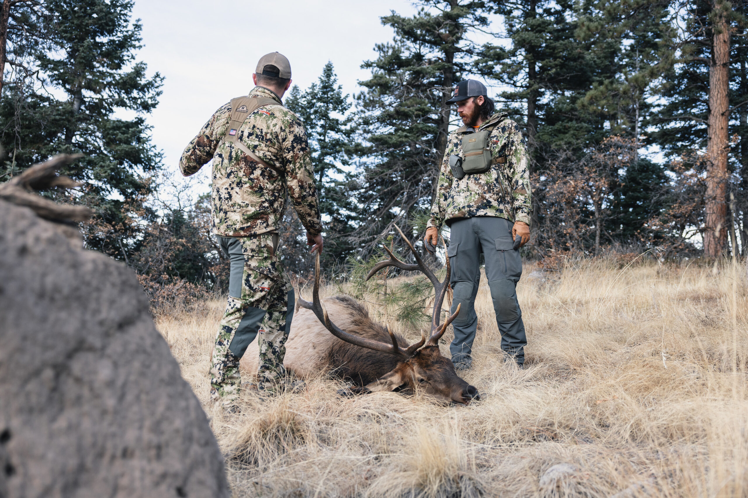 Freel and Miller with elk